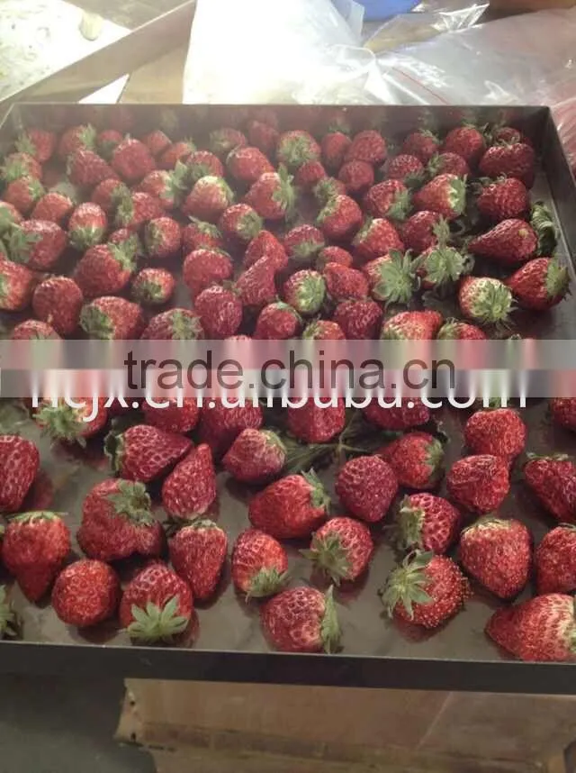 vacuum freeze dryer for food