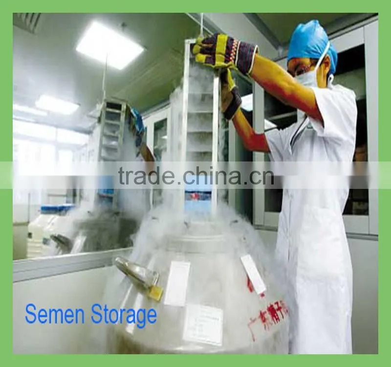 JX China Famous Brand liquid nitrogen tank with factory price