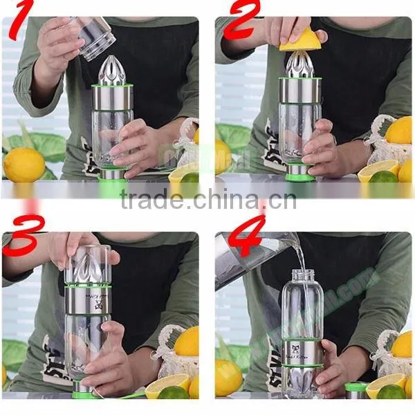 Wholesale 500ml Glass Fruit Infuser Water Bottle, Lemon Water Bottle Infuser