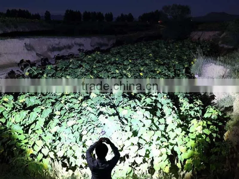 Flashlight Import T6 led Rechargeable Flashlight long-range Focus outdoor Led Flashlight