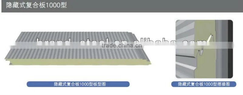 B.R.D Italy production line Wall panel, Roof panel, Cold room panel PU sandwich panel