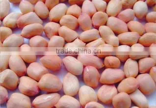 Chinese peanut kernels baisha for sale