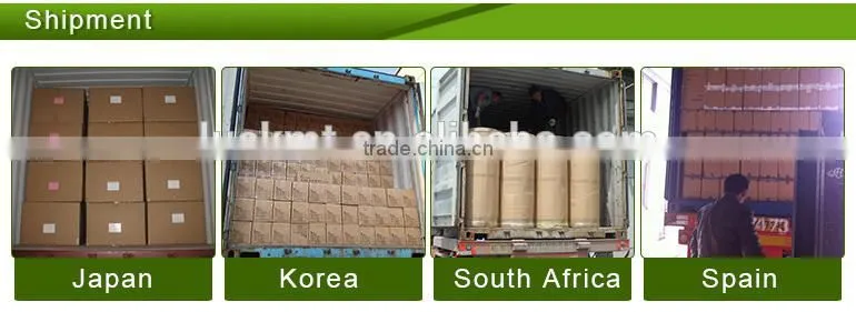 High Adhesive Acrylic Tape Clear Waterproof Bopp Jumbo Roll