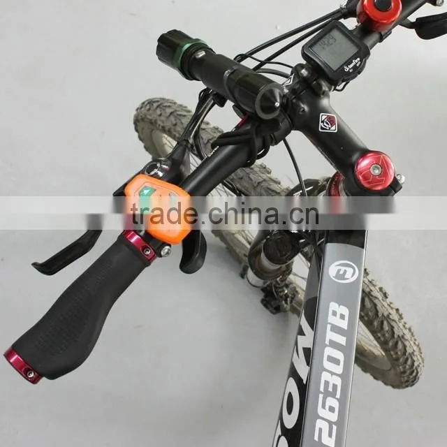 R2 Electrical Bike Alibaba Low Price of Shipping Chinese Manufacturers Bicycle LED Backpack