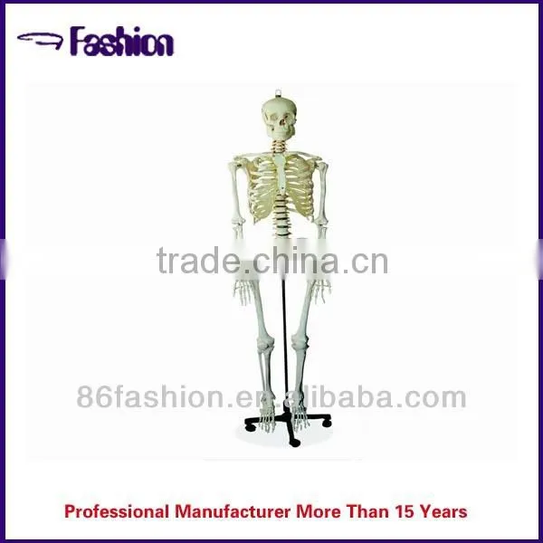 Advanced newborn baby care medical model