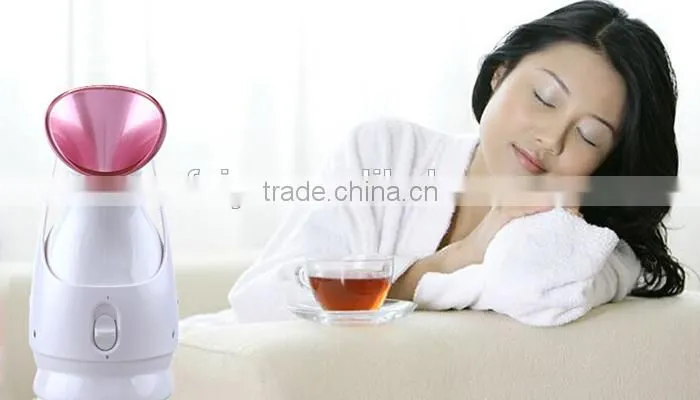 Portable Facial Steamer