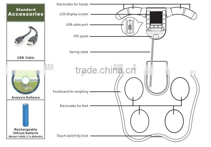 message center scale body composition machine