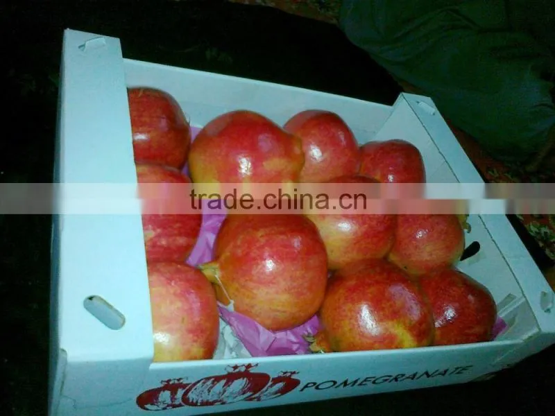 Packing / Color/Sizes/ Container of Fresh Pomegranates