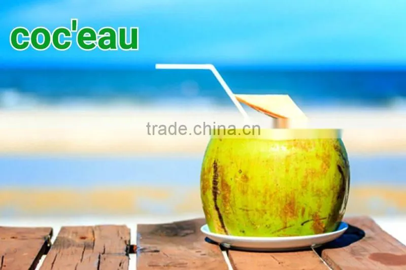 Thailad Coconut juice/Coconut drink/Coconut water 310 ml