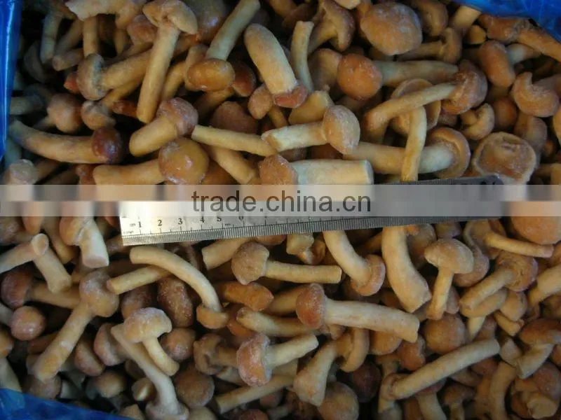 Chinese IQF nameko