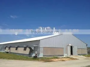 High Quality Prefabricated Chicken Shed and Chicken Farm