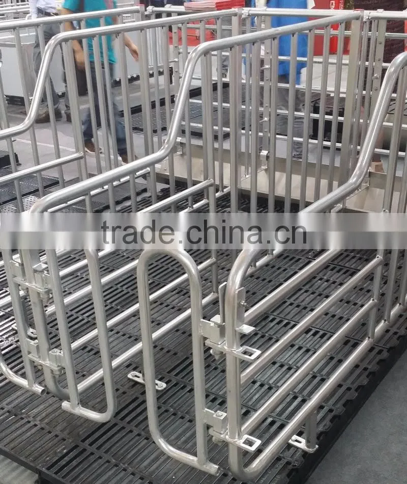 hot sales gestation stalls for pigs