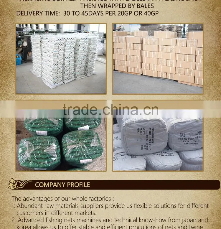 210D/4PLY 400MD 100M fishing net
