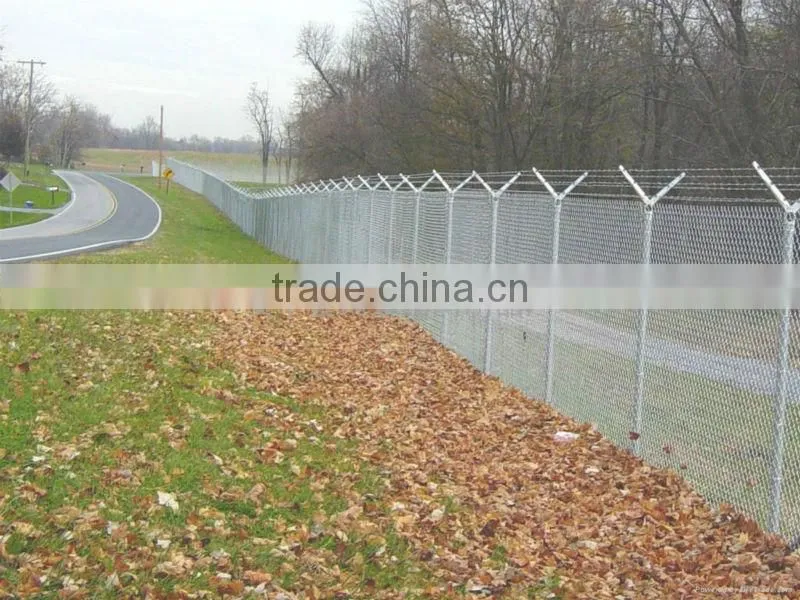 decorative chain link fence