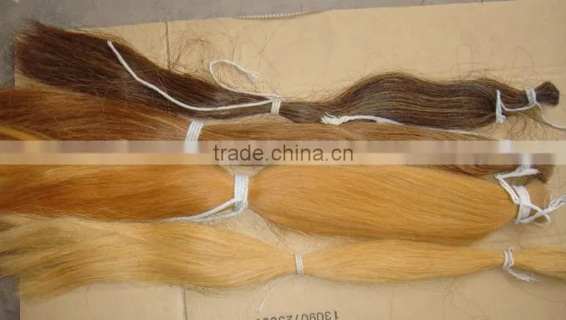 100% natural horse tail hairs for hot selling