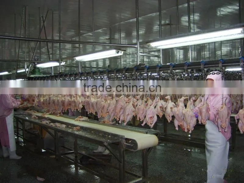portable automatic chicken slaughter houses for slaughtering