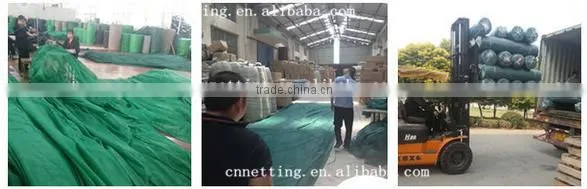 Blue or Green Wind protection net/anti wind net/windscreen mesh/windscreen dust net