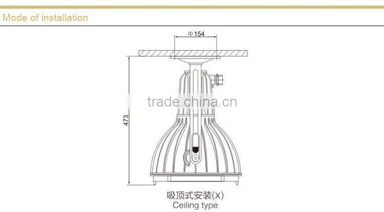 BAT(E) Explosion proof Spotlight
