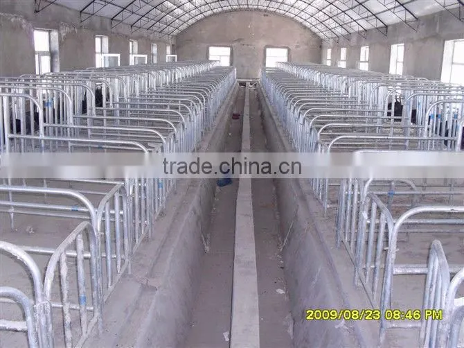 pig crates for pig farm