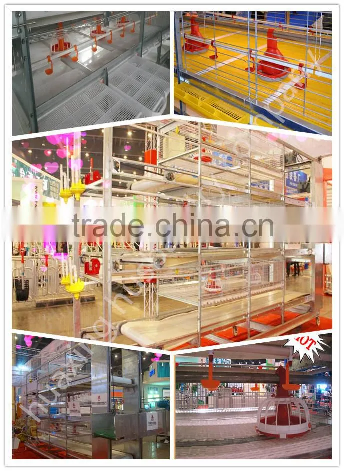 Huaxing New Design automatic Broiler /dorking chicken Cage