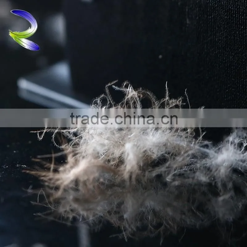 Wholesale cheap washed down and feathers gray duck down