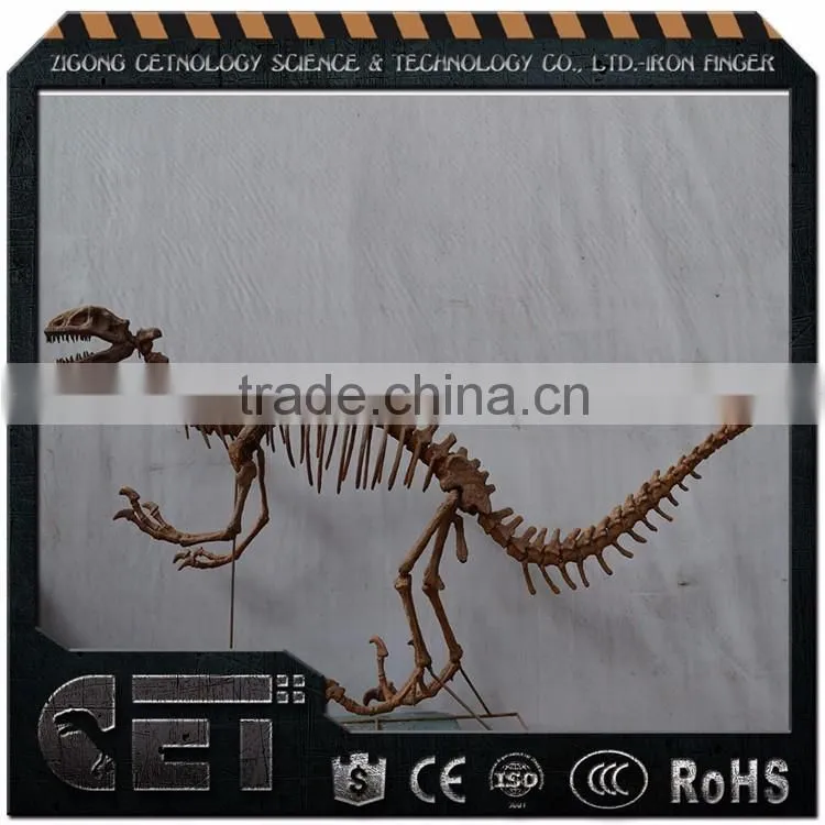 Cetnology-dinosaur skull dinosaur skeleton Sculptures for Party Decoration