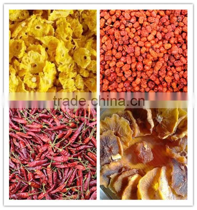 Hot fruit and vegetable drying machine popular in Mid-East with CE