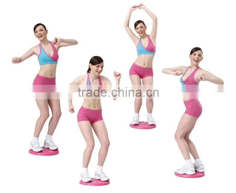 Power Twist Disk/ Gym Equipment/ Rack