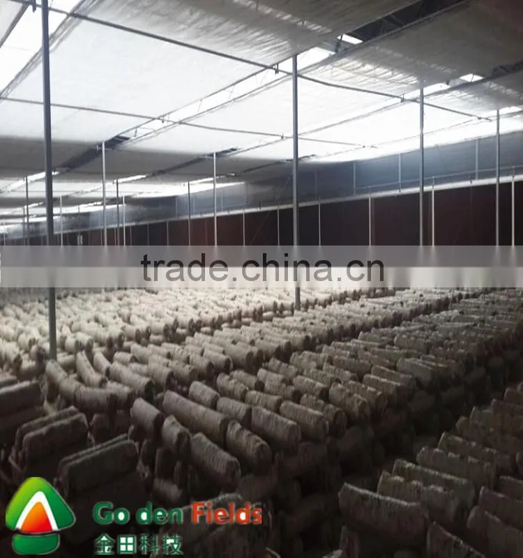 Hot Sale High Quality Cultivated Organic Dried Shiitake cultivation rods