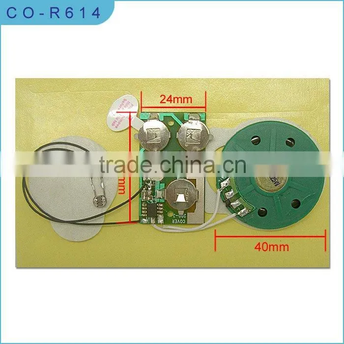 recordable sound modules for toys and magazine