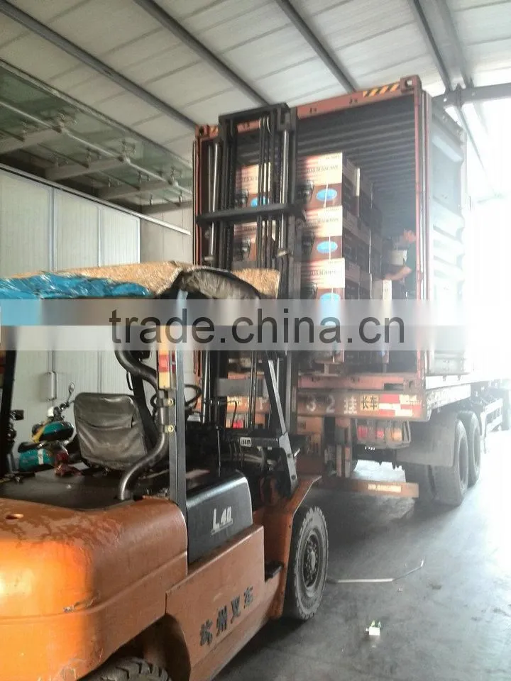 2kw-6kw DYNAMAC honda engine first class Chongqing nature gas generator