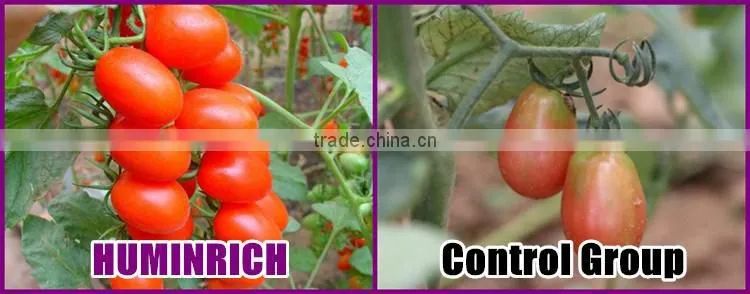FAQ 39--What Kind Of Organic Fertilizer Can Be Used As Tomato Fertilizer?