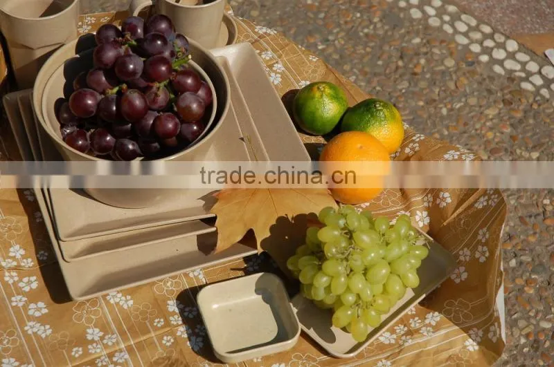healthy cheap restaurant dinner plate