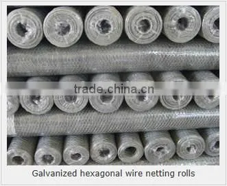 Hexagonal woven twist wire mesh - galvanized and PVC coated chicken mesh price