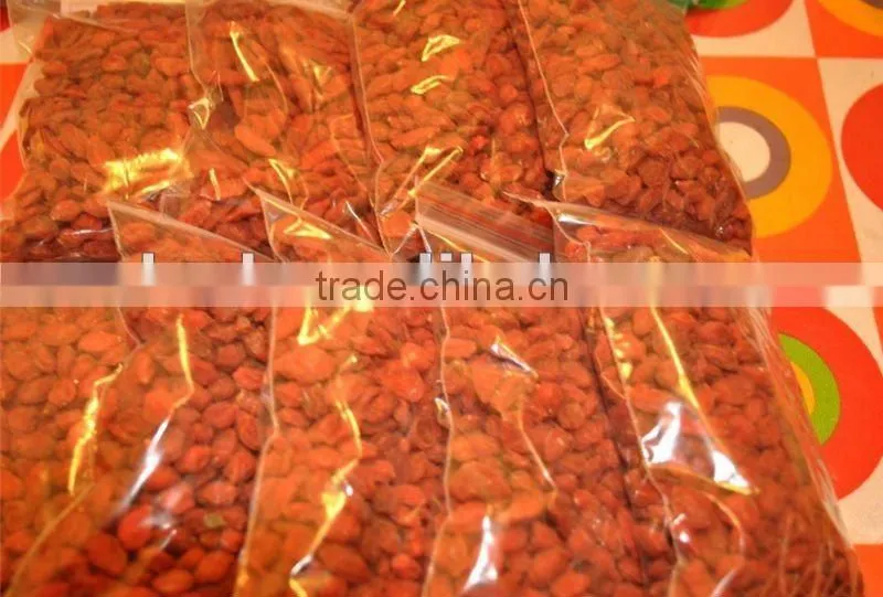 wolfberry on sale