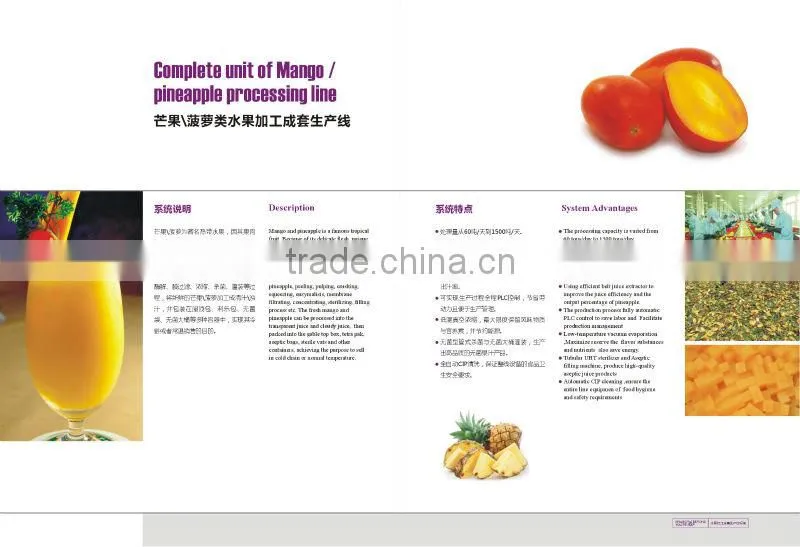 Complete Mango Fruit Processing Line