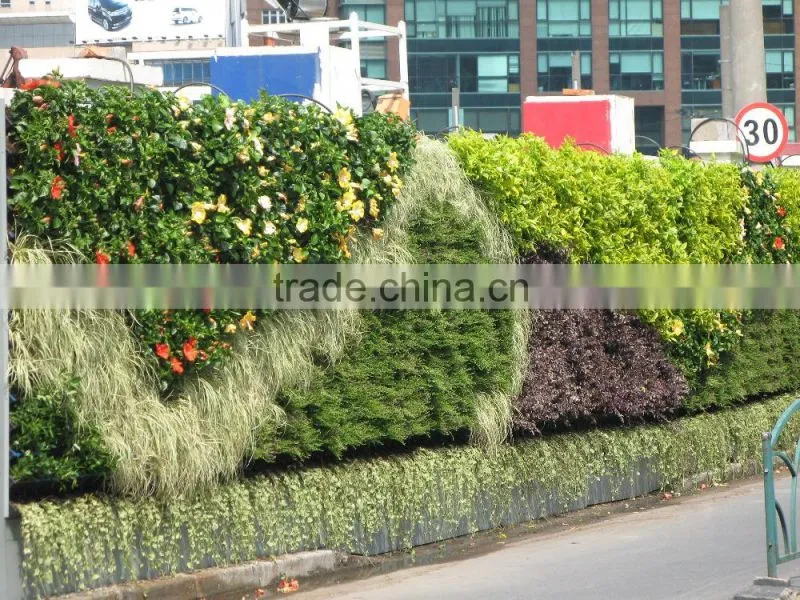 2016 Hot product Free Standing Living vertical plastic Green Wall
