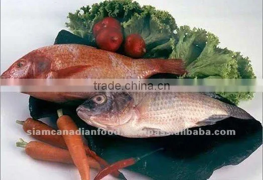 High Quality Whole Fresh Water Fish