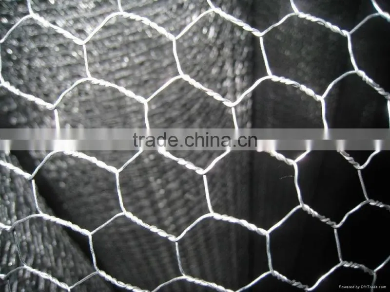high quality galvanized chicken wire netting hexagonal wire netting poultry mesh