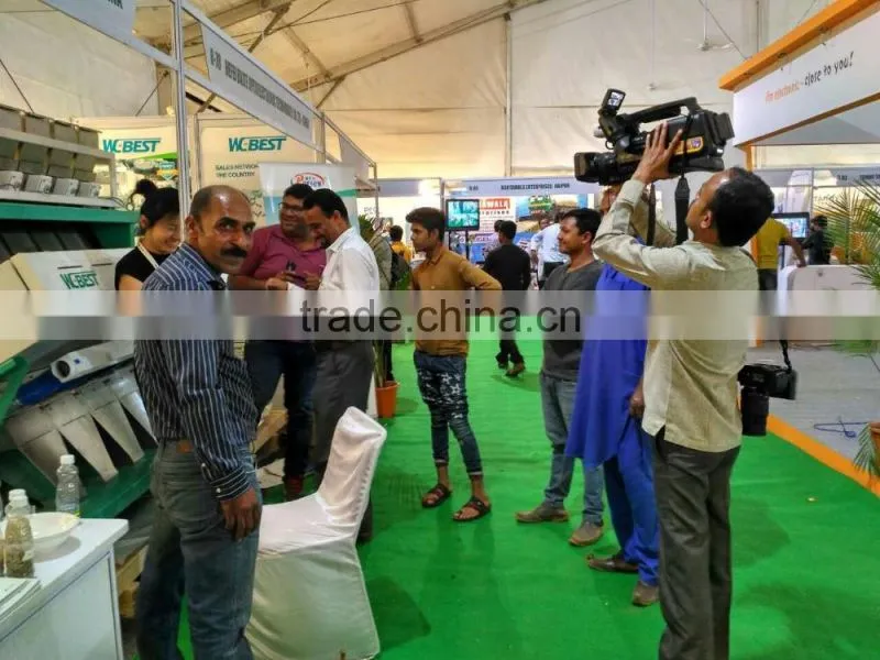 Multiple Sorting Functions, Automatic CCD Cotton Seeds Color Sorter