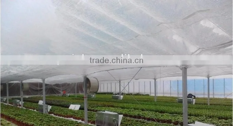 Inside shade net greenhouse inside sunshade