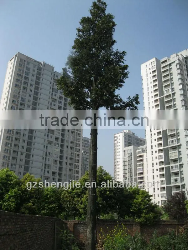 wholesale coconuts,artificial bonsai tree,fake coconut tree