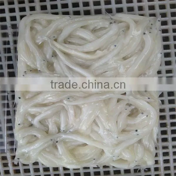silver fish and frozen with fish