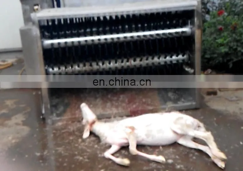 sheep hair removal machine/goat unhairing machine with strong power