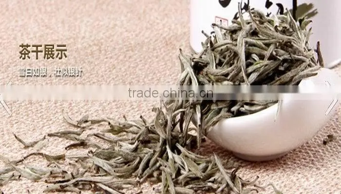 Chinese natural slim best white tea brand names white silver needle white tea