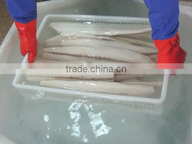 Frozen Oilfish fillets new arrive