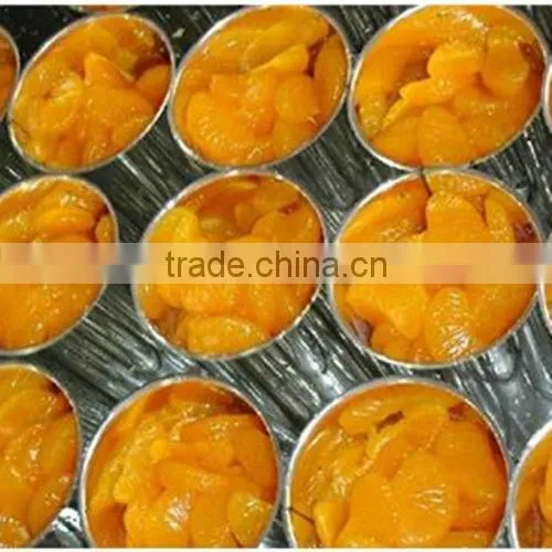 canned mandarin orange canned cheap price canned fruit