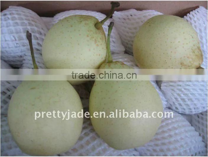 4kg carton fresh sweet and juicy Ya pear