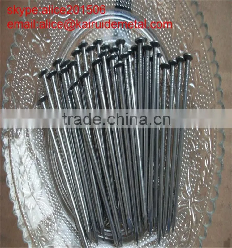 high qulaity common iron nail/common wire nail/common nail