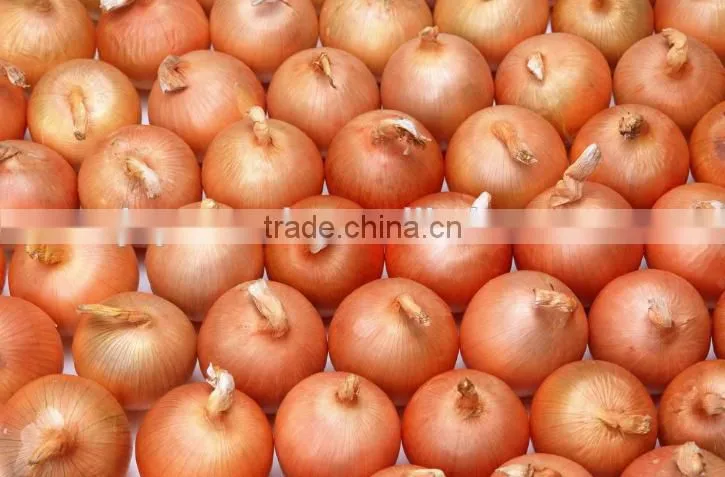 Engineers available to service machinery overseas After-sales Service Provided and Stripper Type onion peeling machine
